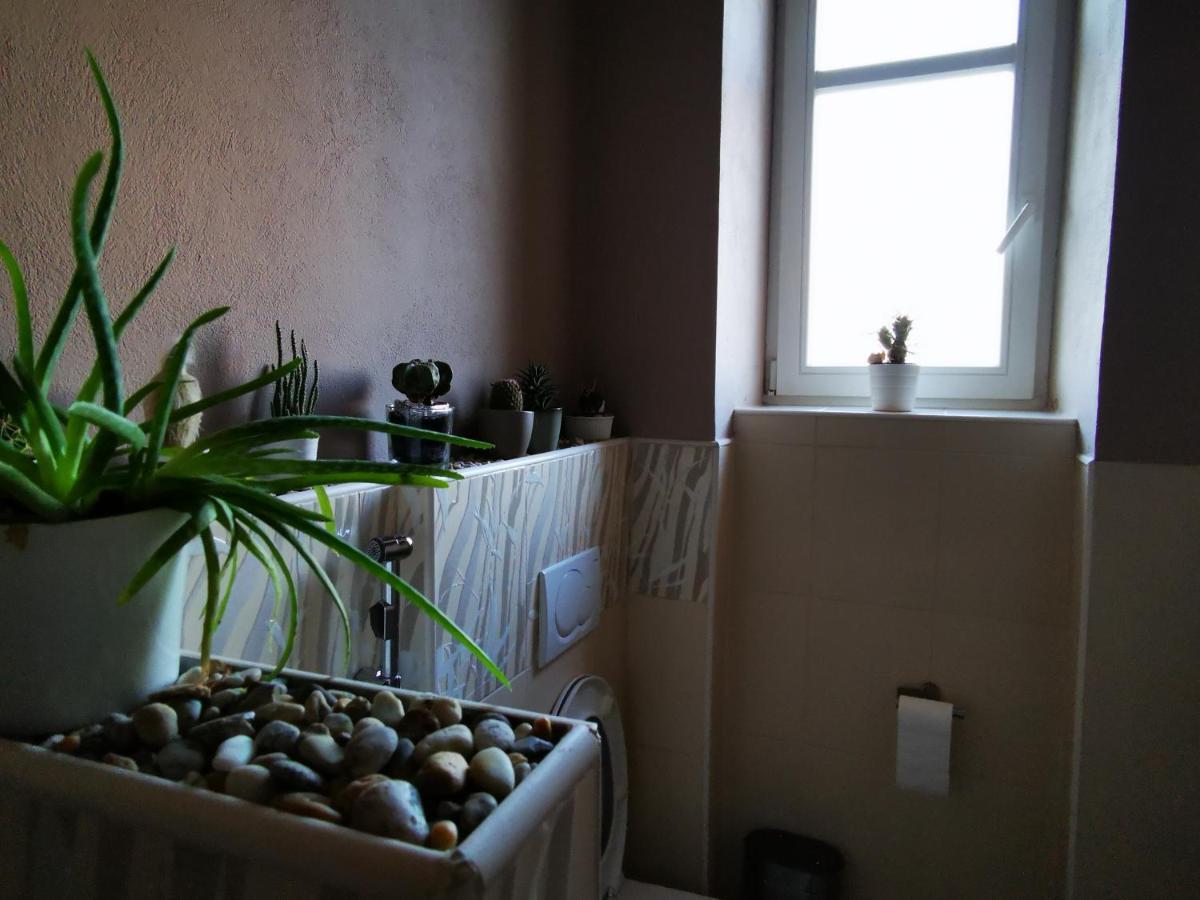 Falcon apartment Trnava Exterior foto